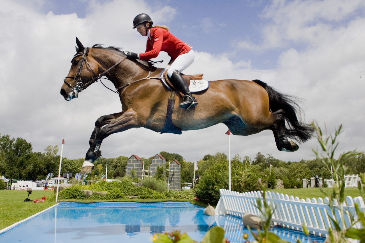 Humans and Horses Are Capable of Reason. Human Reason Was Communicated to the Horse, and This Is How Horses Learn To Jump